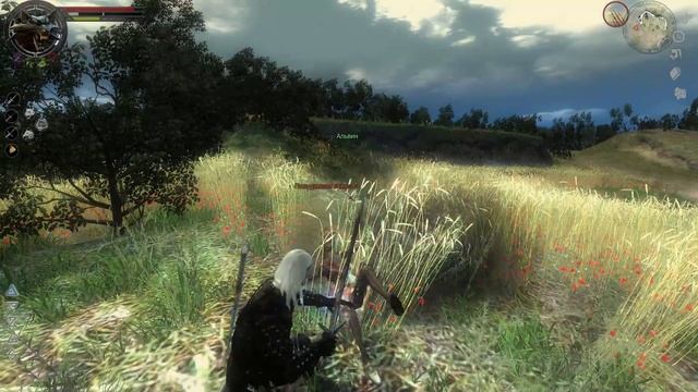 The Witcher Сёстры Алина и Селина из Деревне Проклятые Полуночница #56