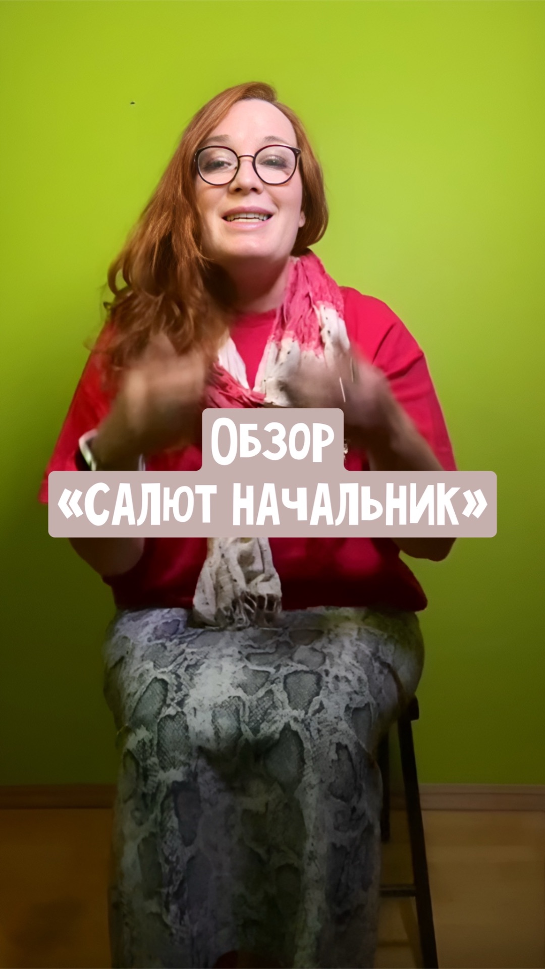 Обзор сериала «Салют, начальник»