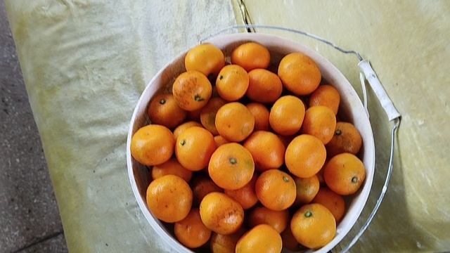 Мандарин бейбик