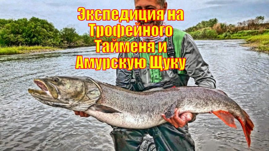 Экспедиция на Трофейного Тайменя и Амурскую Щуку