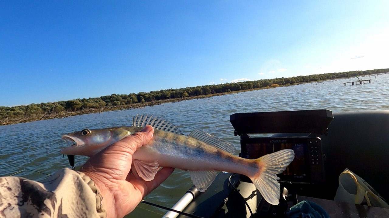 Карьер, ловля судака на тяжёлый джиг,Краснодарский Край.Судак,берш,  29.10.25
