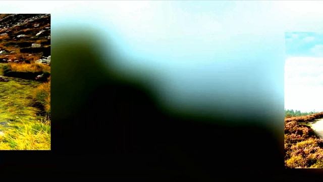 Stive Morgan - Island Of Paradis Version 2