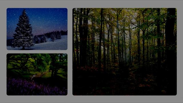 Stive Morgan - Communicate