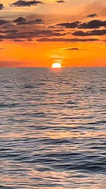 Между нами автор песни и стихов В Дмитриев #песняолюбви #песнядлядуши #музыка #песнякрасиво