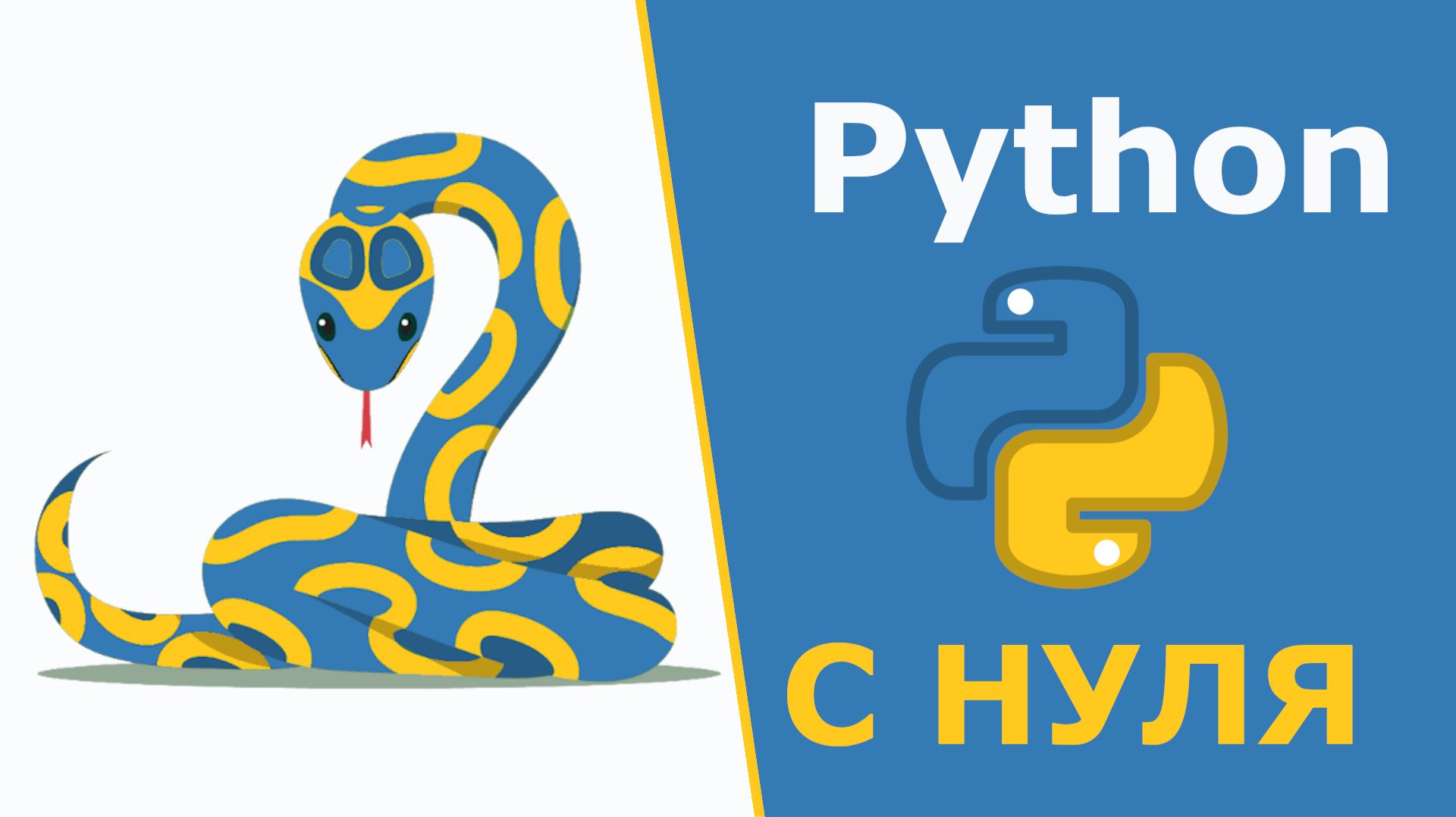 Python С НУЛЯ | Полный курс по основам программирования