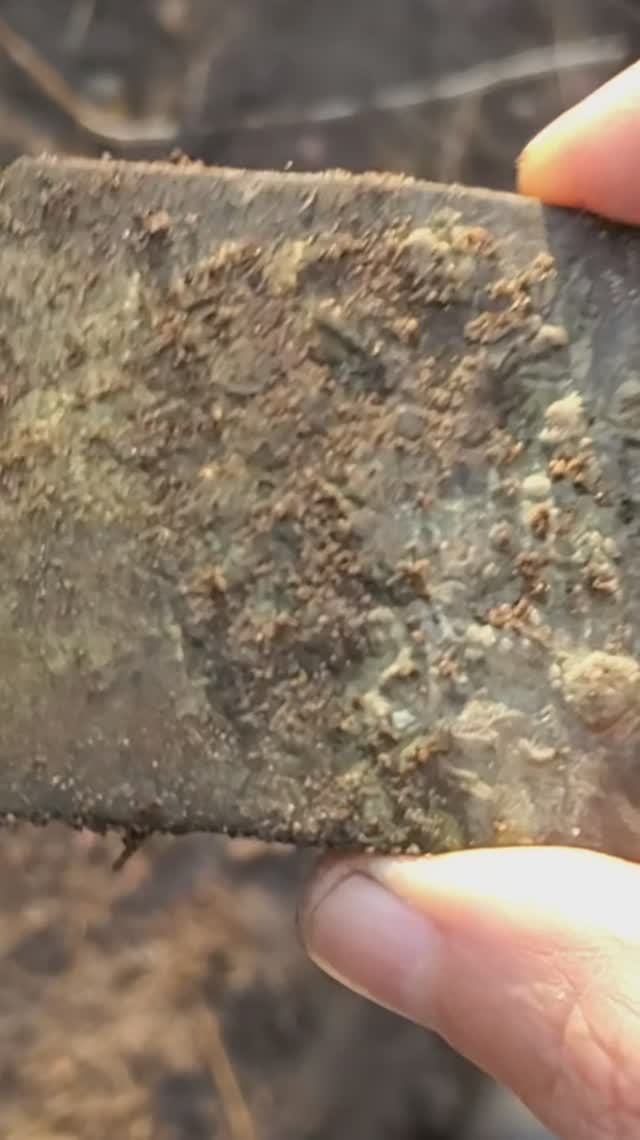 🔥 Повезло. Пряжка РИА. Skycruiser s63.