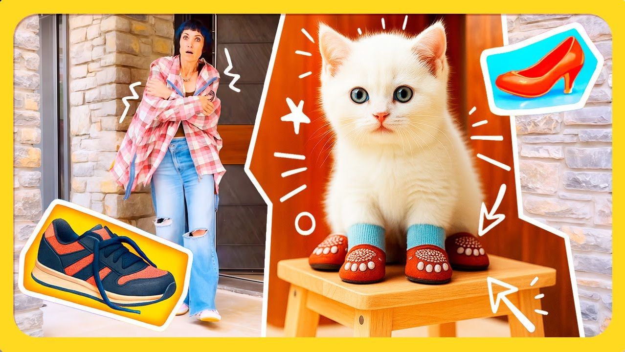 Котенок Кефир собирается на прогулку. Яркие носочки для похода за молоком!