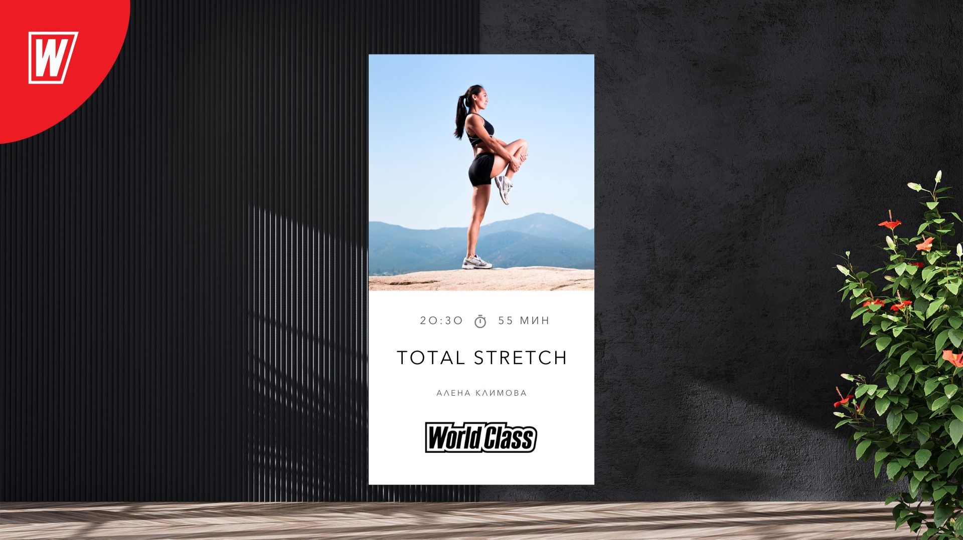 TOTAL STRETCH с Алёной Климовой | 24 ноября 2025 |Онлайн-тренировки World Class