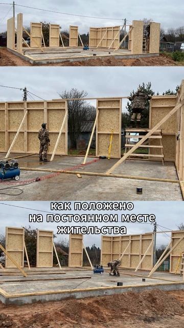 Стены дома за день. Построить дом быстро - реальность #дом #каркасник #стройка #дача