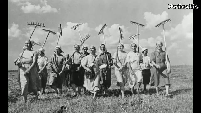 История деревни Проскуряково 1 серия