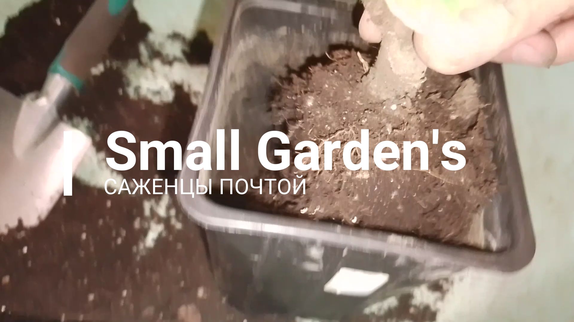 Как правильно вносить удобрение Княжий Аргамак в грунт комнатных растений