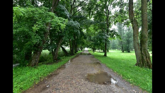 Дворец Пусловских (Слоним)  13 июля 2017