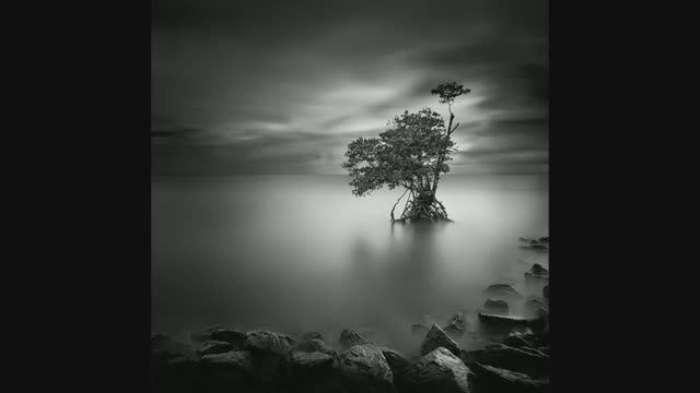 Знакомство с творчеством Уилл Ли