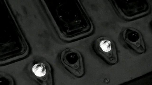 1970 год. Салехард. Рыбокомбинат. Тарный цех