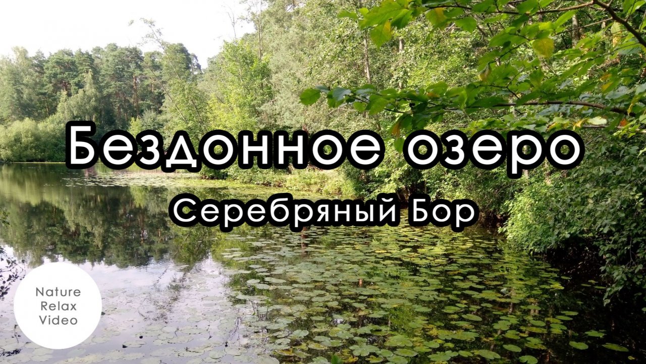 Бездонное озеро. Серебряный Бор. Nature relax version.