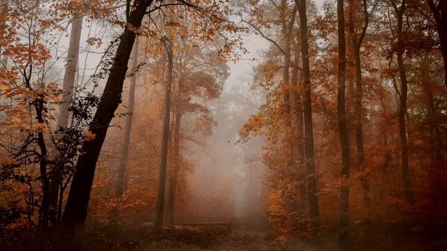 Капризная осень - Расслабляющая осеняя музыка, фоновая фэнтези музыка