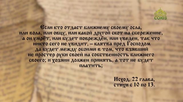 Евангелие 26 ноября. Я есмь пастырь добрый: пастырь добрый полагает жизнь свою за овец