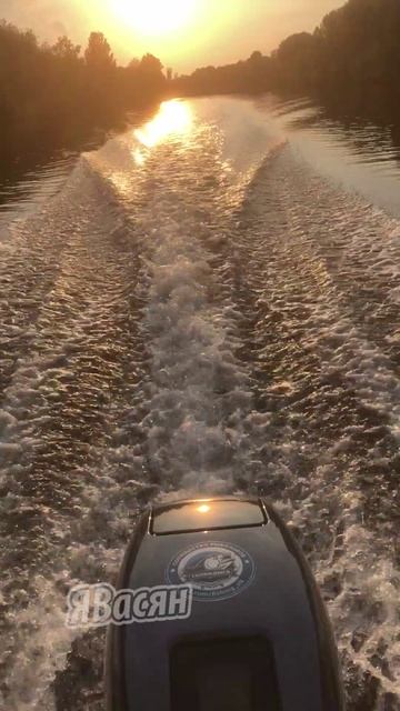 Я узнал что у меня есть огромная семья. #shorts