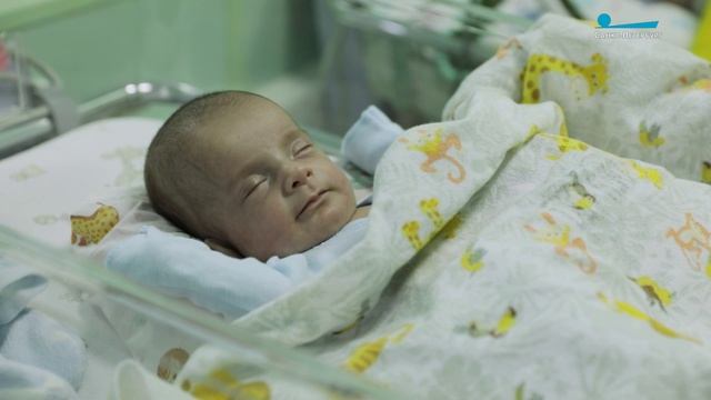 Когда природа говорит «нет». Где в Петербурге помогают стать мамами?