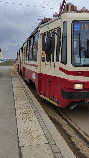 Трамвай ЛВС-86К-М (Санкт-Петербург)