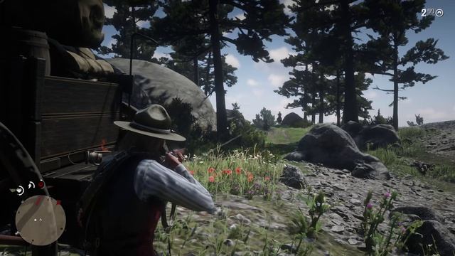 Red Dead Redemption 2 . МУКИ СОВЕСТИ