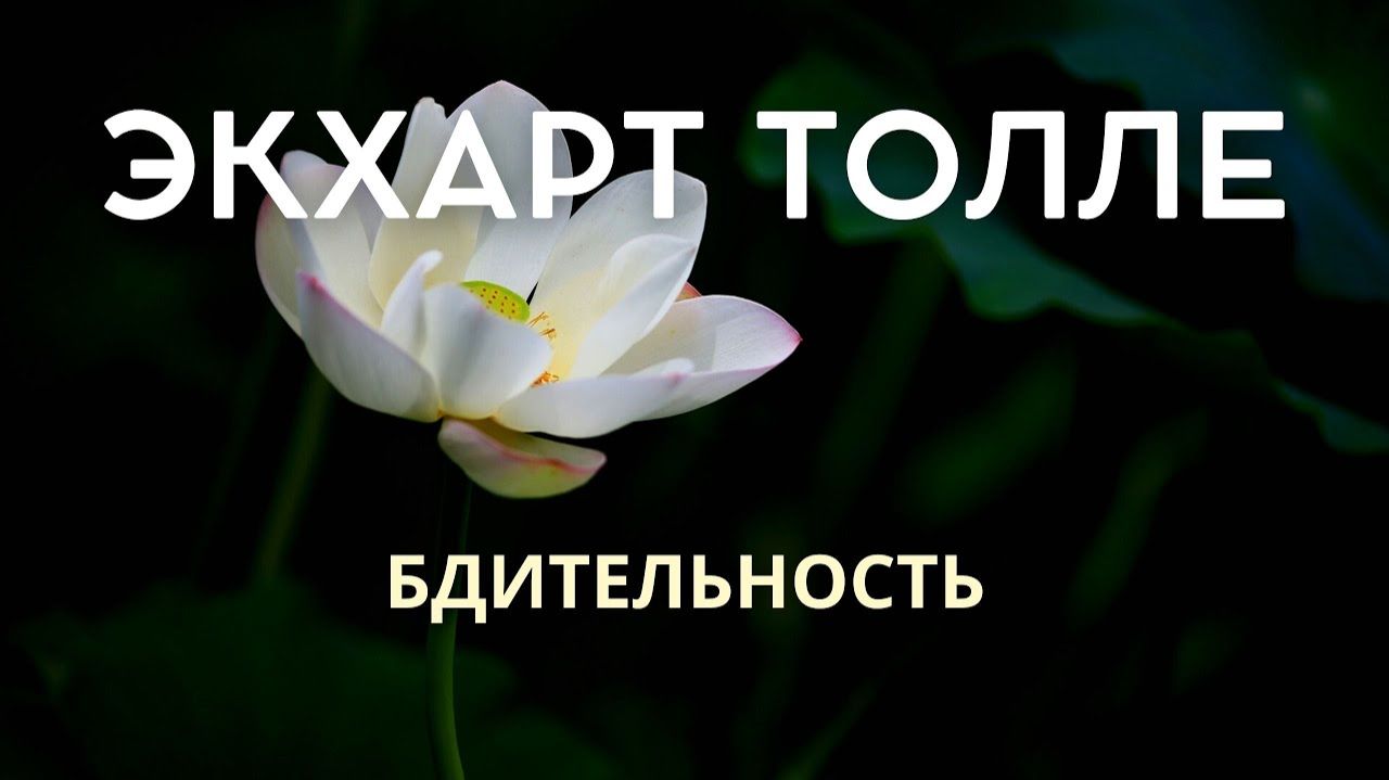 Бдительность— это тишина за мыслью. ЭКХАРТ ТОЛЛЕ
