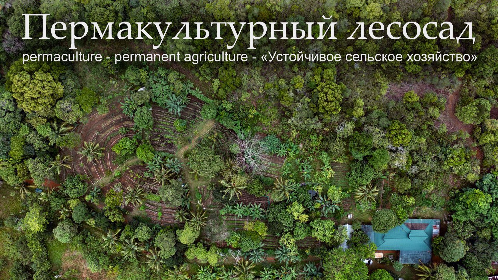 Пермакультурный Лесосад