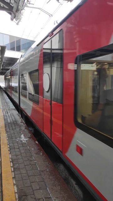 Электропоезд ЭС2Г "Ласточка" на платформе Окружная (МЦК)