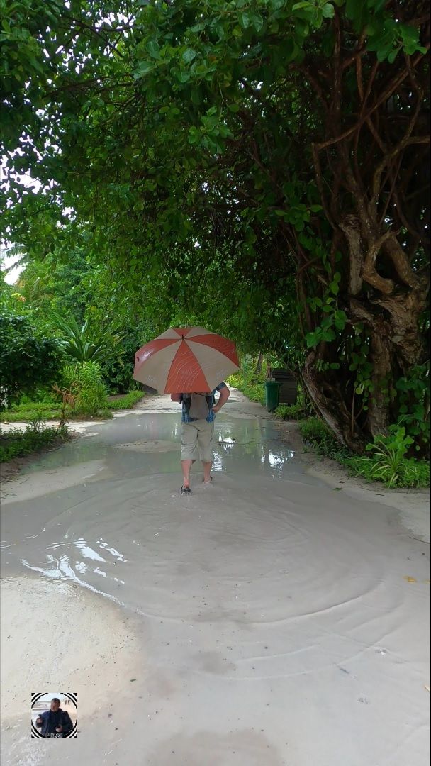 Молочные реки кисельные берега, Мальдивы низкий сезон 2025 #мальдивы #остров #мальдивы2025 #maldives