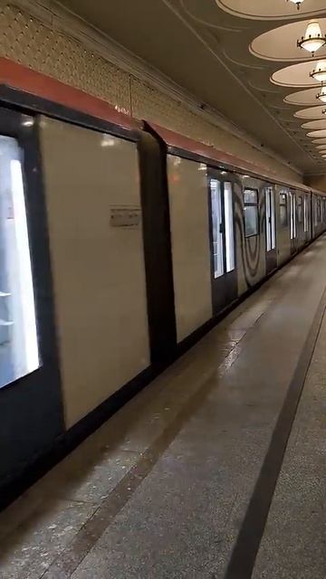 Поезд Москва 2019 на Филевской ветке