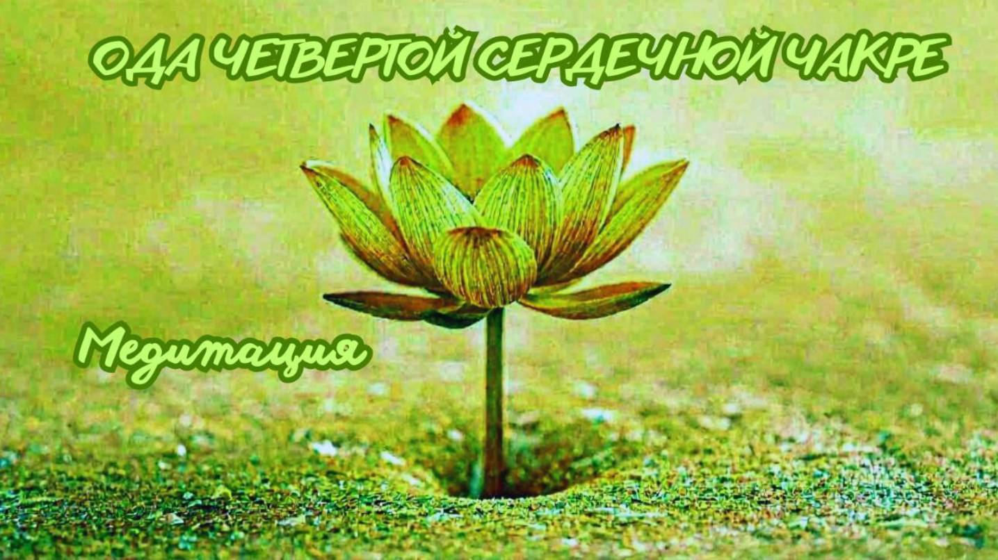 Ода четвёртой чакре. Медитация. #вселеннаяя , #душа, #чакра, #энергетическаясистема