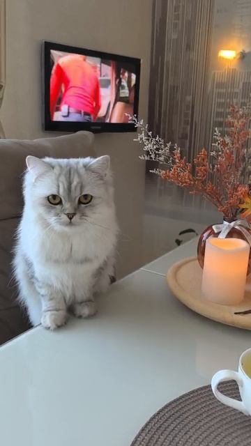 Хочу проверить, что у вас здесь.  https://home.strannik-j.org/video/afe57e3a4e97c1670b1e9bb81f24cc49/