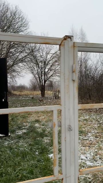 Продаётся дом-бытовка на участке 25 соток в дер. Рябинино, Александровский район, Владимирская обл.