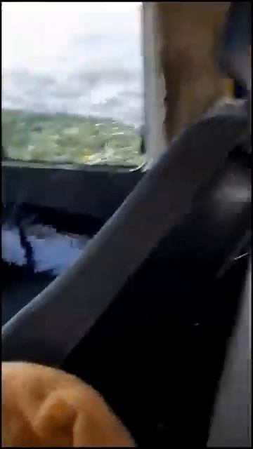 какое красивое дно -