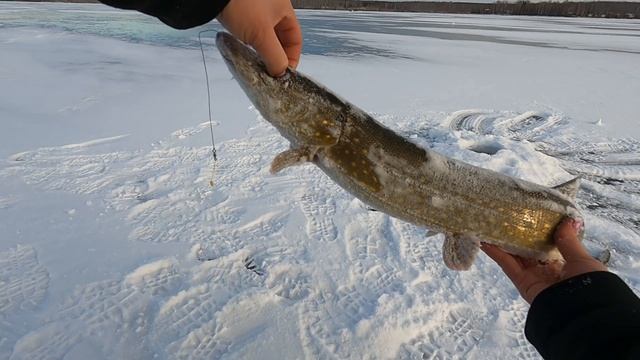 На рыбалку с мужиками часть 2 / Рыбалка на судака, Озеро Аргази