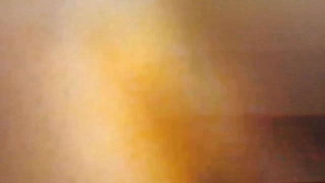 опять аллергия в белые медведи сиалор