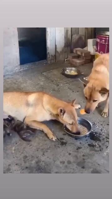 Забота о маме