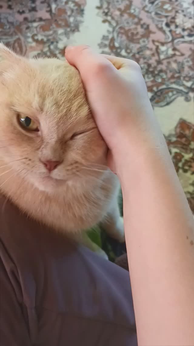 Пупуська - злобный агроном