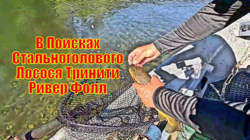 В Поисках Стальноголового Лосося Тринити Ривер Фолл