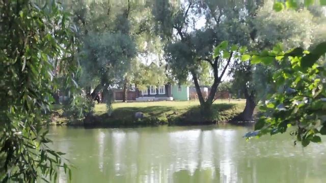 Как хорошо в деревне летом