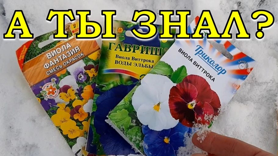 11 ЦВЕТОВ, которые можно сеять под зиму ❄🌸❄🌸❄🌸