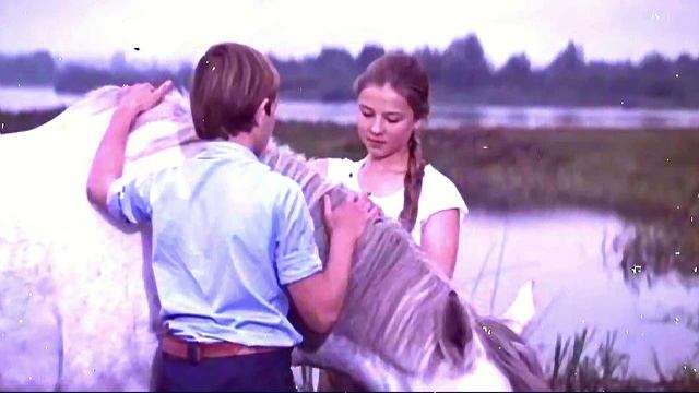 Цыган Ваня Спекулянт - Ты мне подари судьба