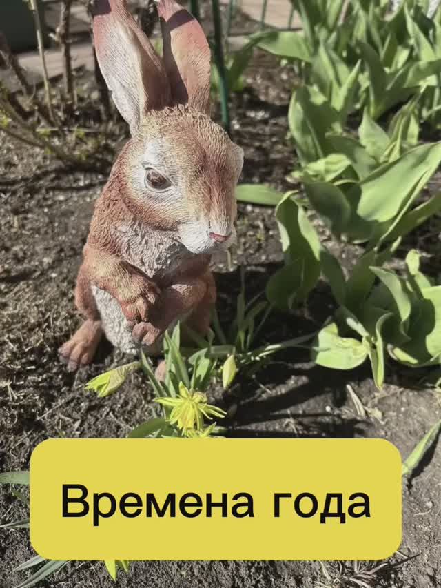 Клип | Времена года!| #мирувлечений#природа#цветы#релакс