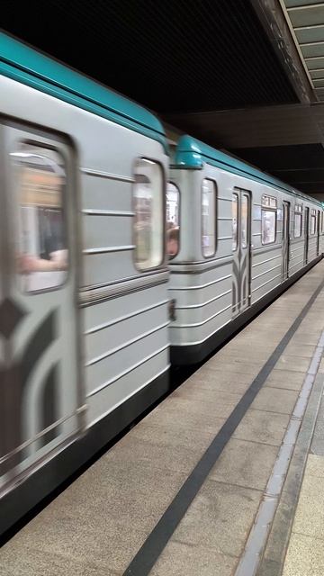 Электропоезд "Казань" на станции Козья слобода