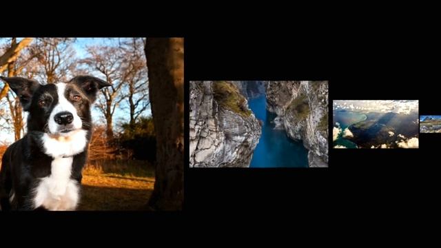 CJ Mind-Forgotten Memories