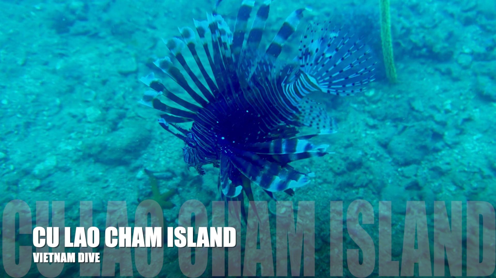 🌊 Ку Лао Чам (Острова Чам), Хойан, Вьетнам — Подводное видео в 4K на iPhone 🌊
