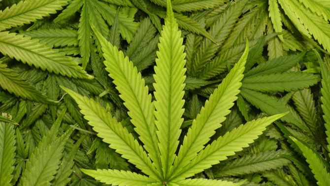 Курение марихуаны во время беременности