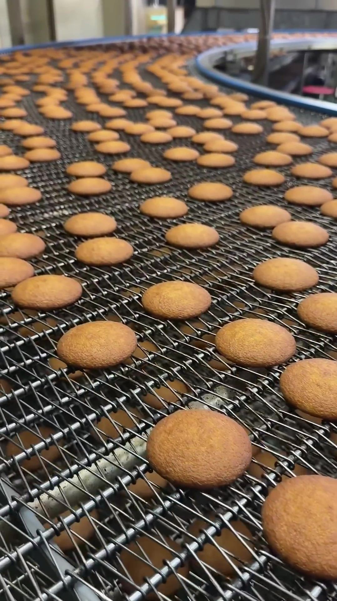 Японское печенье Боло🍪