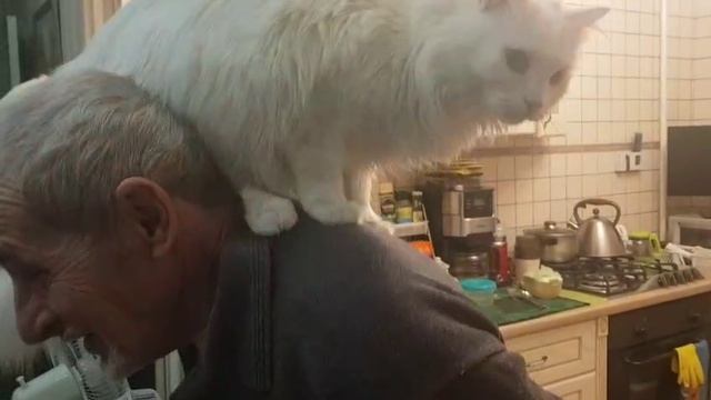 Леся и Сёма - "Кошка - забияка"