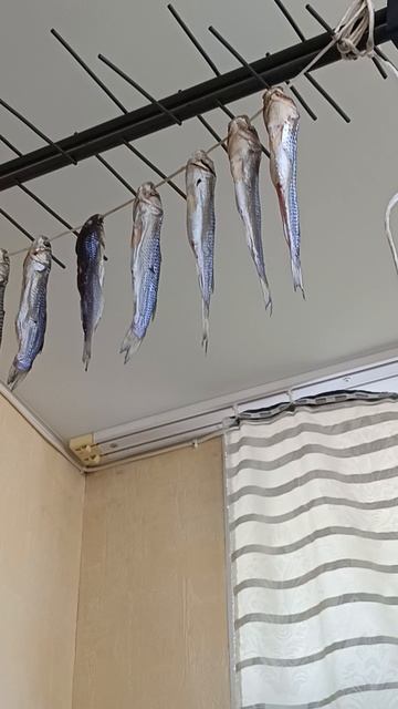 таранька первый раз делаю сама